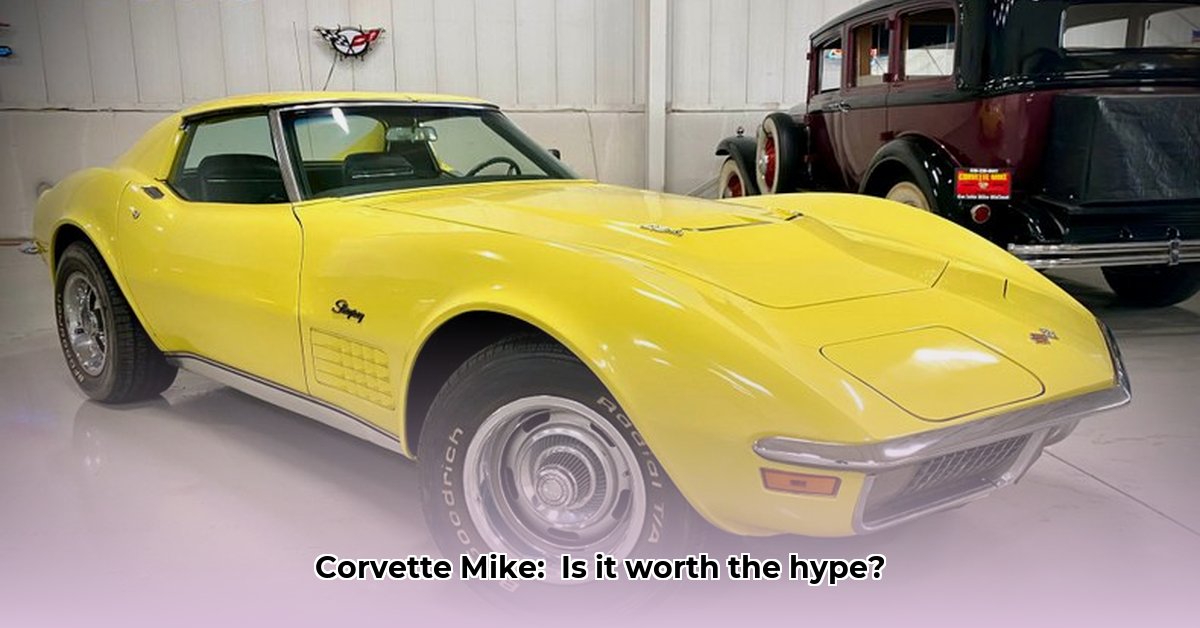 corvette-mike-burr-ridge-il